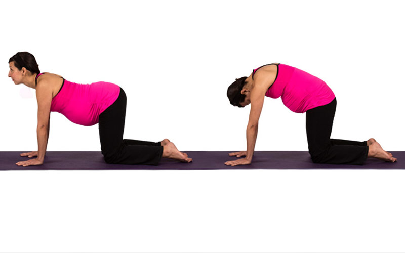 Cat-Cow Stretch (Marjaryasana–Bitilasana)
