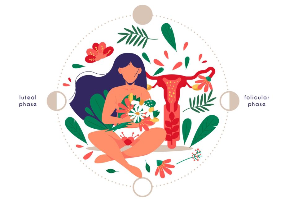 Which Hormone is Responsible for Making Pregnancy in Females? How to Boost it?
