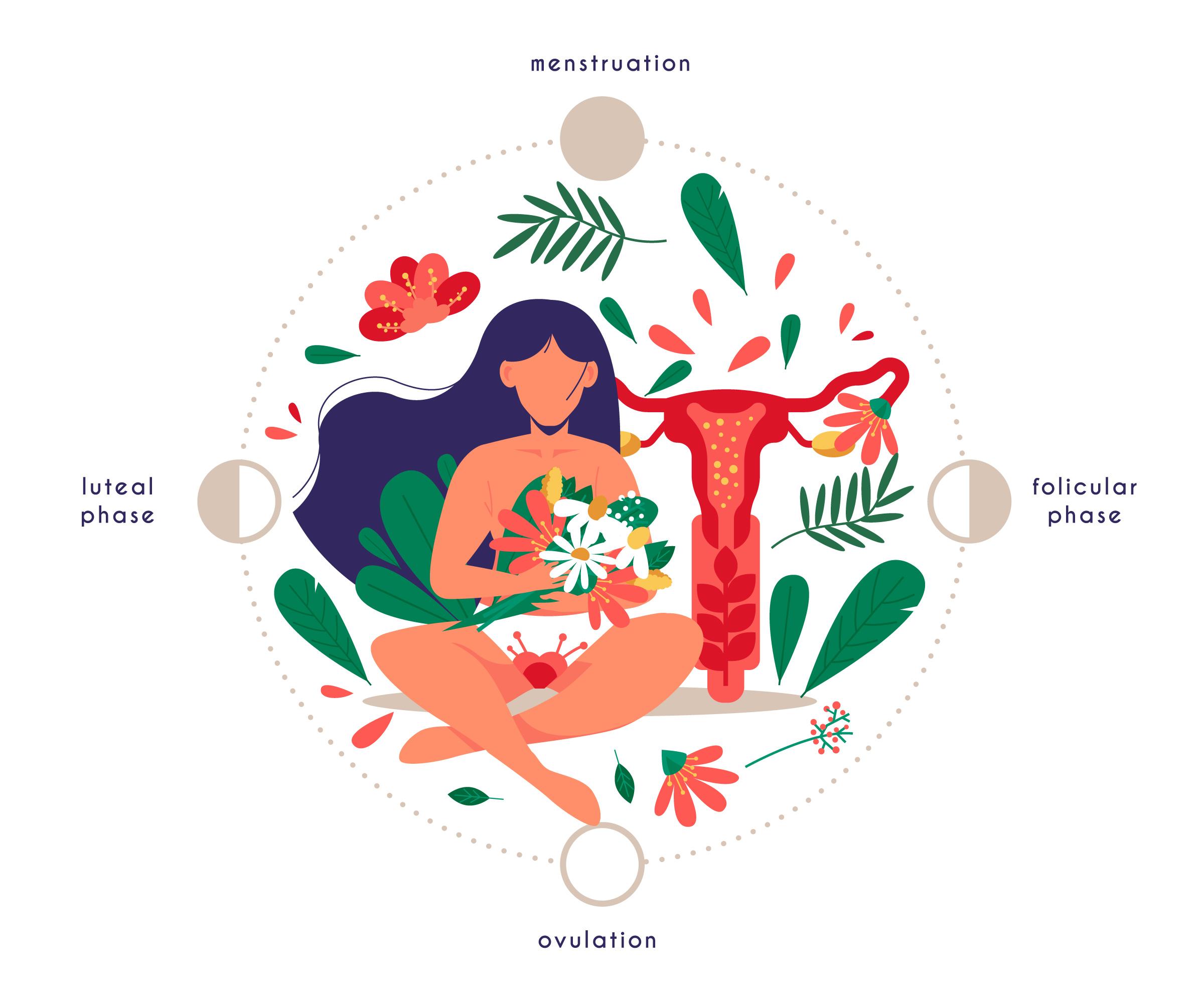 Which Hormone is Responsible for Making Pregnancy in Females? How to Boost it?