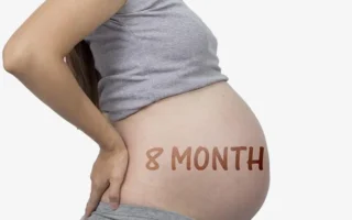 29th to 32 week of pregnancy-8month